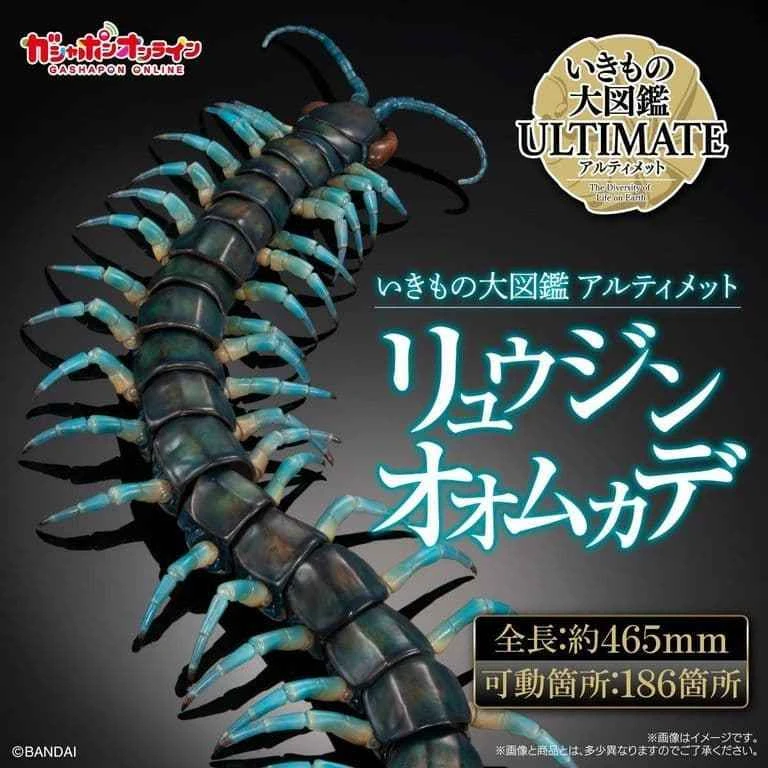 (Pre-order) February 2026 BANDAI Distributor Edition Creature Encyclopedia: Ryujin Centipede Box Toy