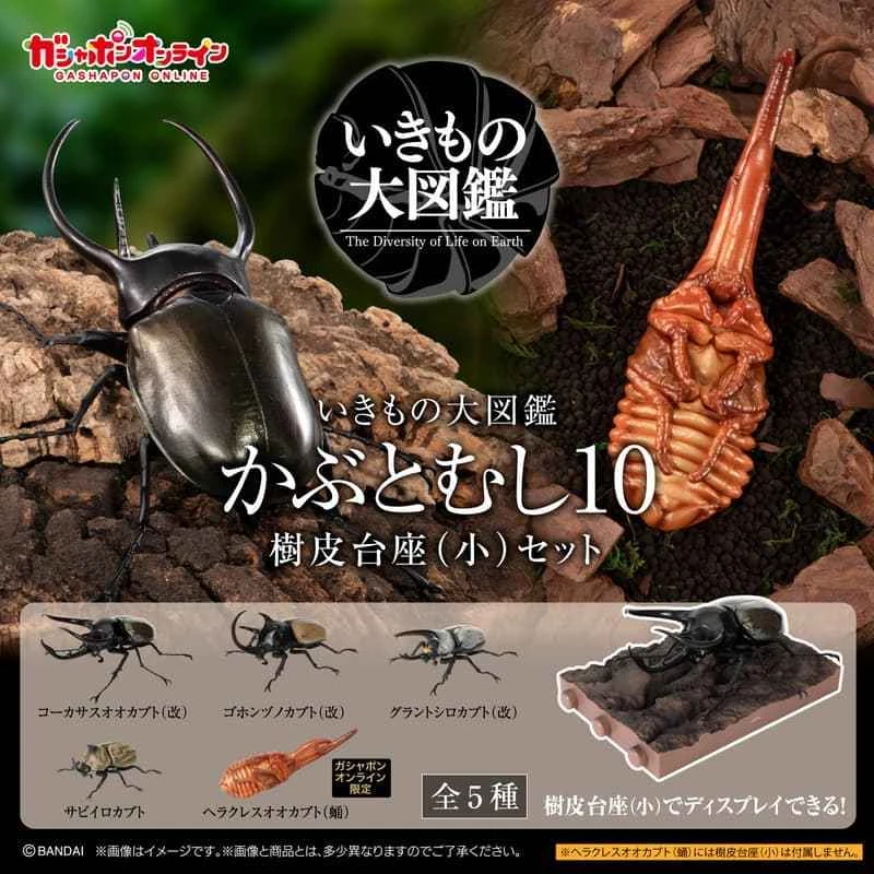 (Pre-order) March 2026 BANDAI Authorized Edition Creature Encyclopedia: Rhinoceros Beetle 10-Pack Set with Bark Base (Small) Medium Box (5 Pieces)