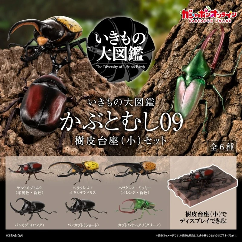 [Pre-order] August 2025 BANDAI Distributed Edition Creature Encyclopedia: Rhinoceros Beetle 09, 6-pack with base and box